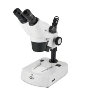 Estereomicroscopio Trinocular SMZ-161-TLED
