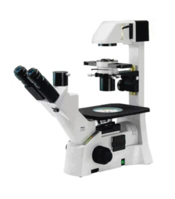 Microscopio Invertido AE31