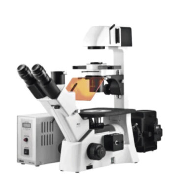 Microscopio Trinocular Invertido de Inmunofluorescencia AE31E
