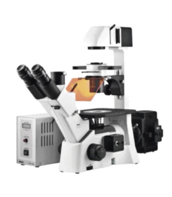 Microscopio Trinocular Invertido de Inmunofluorescencia AE31E
