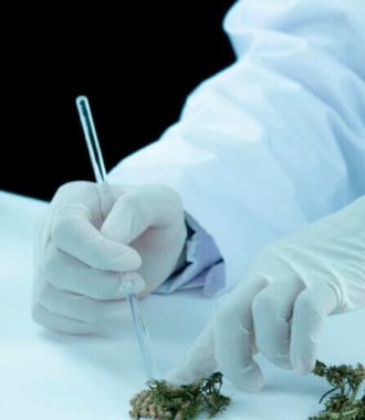 Analisis-de-Cannabinoides-por-HPLC-25