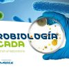 merck labomersa