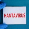 HANTAVIRUS