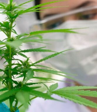 Normativa para Regular Productos que contengan Cannabis no psicoactivo en Ecuador-24
