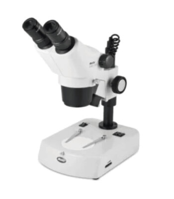 Estereomicroscopio SMZ-161-BL