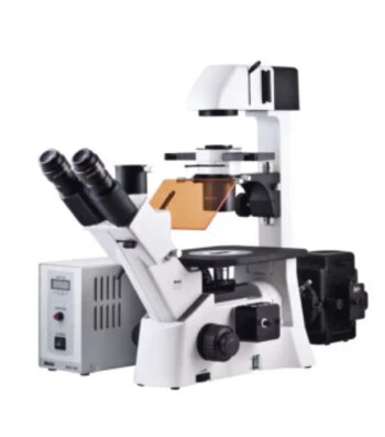 Microscopio-Inmunofluorescencia-Trinocular-Invertido-AE31E