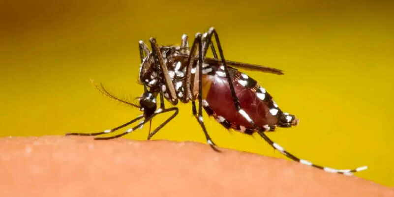 Dengue en Ecuador- Alerta Epidemiológica y Medidas Preventivas Urgentes-09